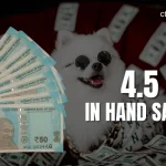 4.5 LPA In Hand Salary