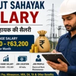 Vidyut Sahayak Salary